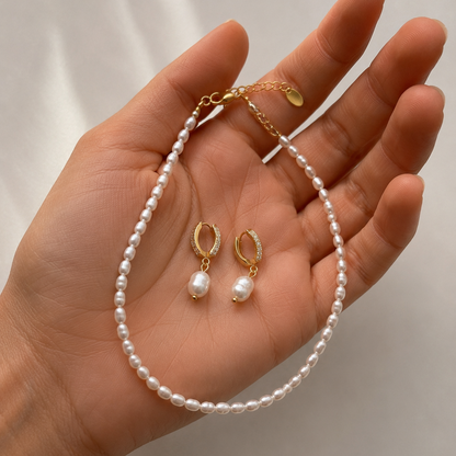 Cove Bundle